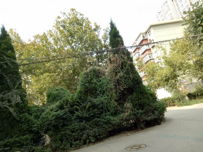 西三庄(北区),北二环西路-石家庄西三庄(北区)二手房,租房,房价