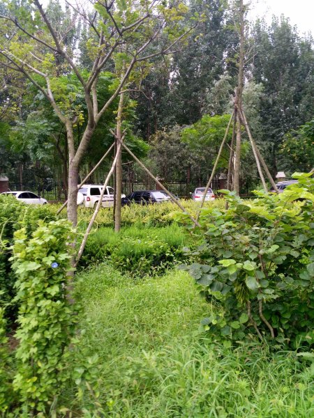 尚景嘉园,甜水河路-青岛尚景嘉园二手房,租房,房价-青岛安居客