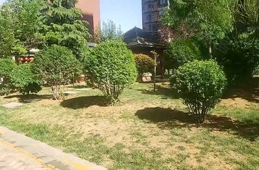 旺角花园,太行北路 - 晋城旺角花园二手房,租房,房价-晋城安居客