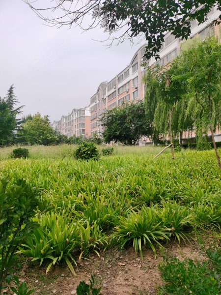 学府嘉园,佛光路-泰安学府嘉园二手房,租房,房价-泰安安居客