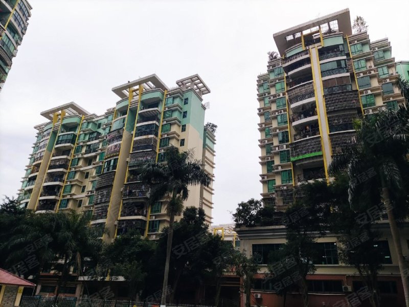 南厦丰泽园(南区),夏美路161号-珠海南厦丰泽园(南区)二手房,租房