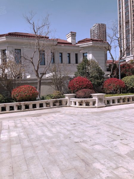 云龙观邸(别墅)