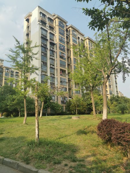 天华硅谷庄园,泰冯路59号-南京天华硅谷庄园二手房,租房,房价-南京