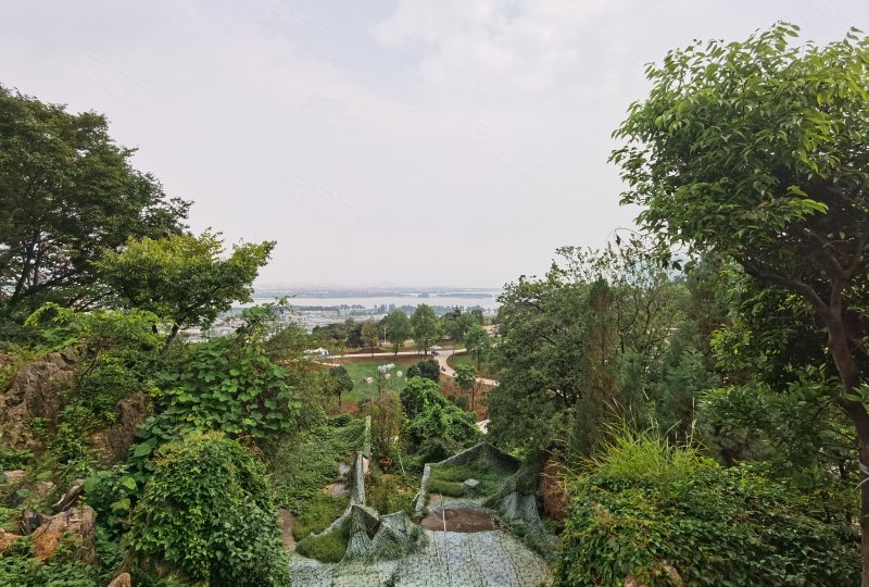 阳光城滇池半山,春雨路,近宏业路-昆明阳光城滇池半山二手房,租房