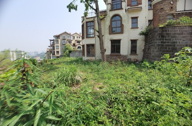 蓝光十里蓝山别墅