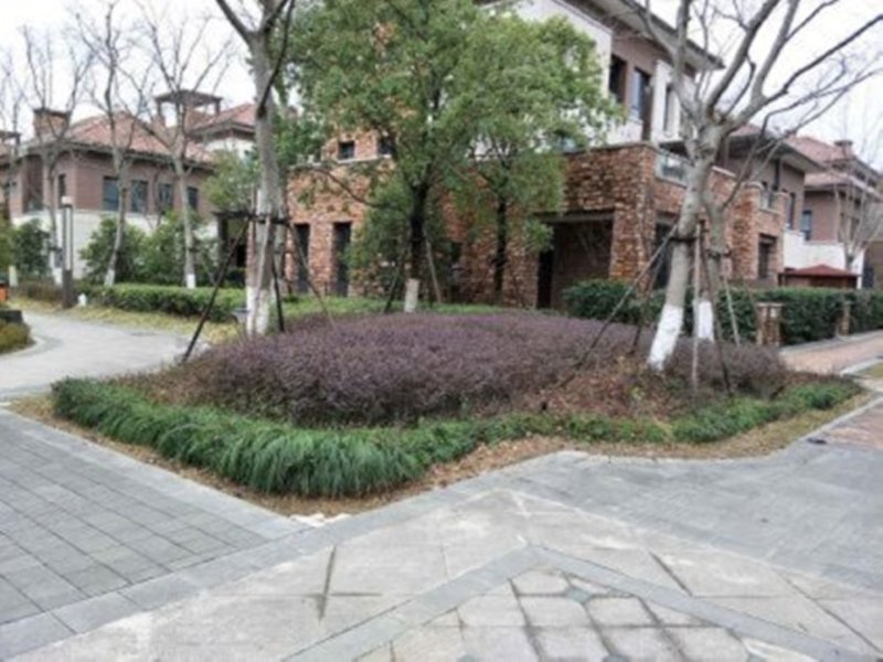 浦江坤庭璞御(别墅) 