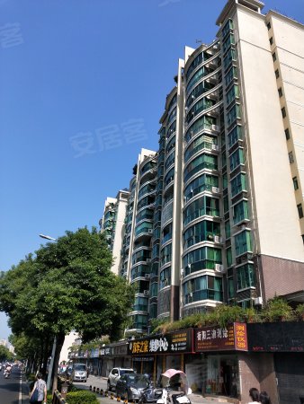 衡州小学学位房 药监局家属楼 步梯中层 精装大4 房,可按揭, 人行花园