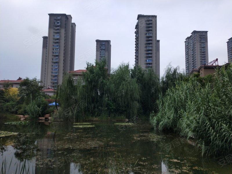 碧桂园莫奈花园