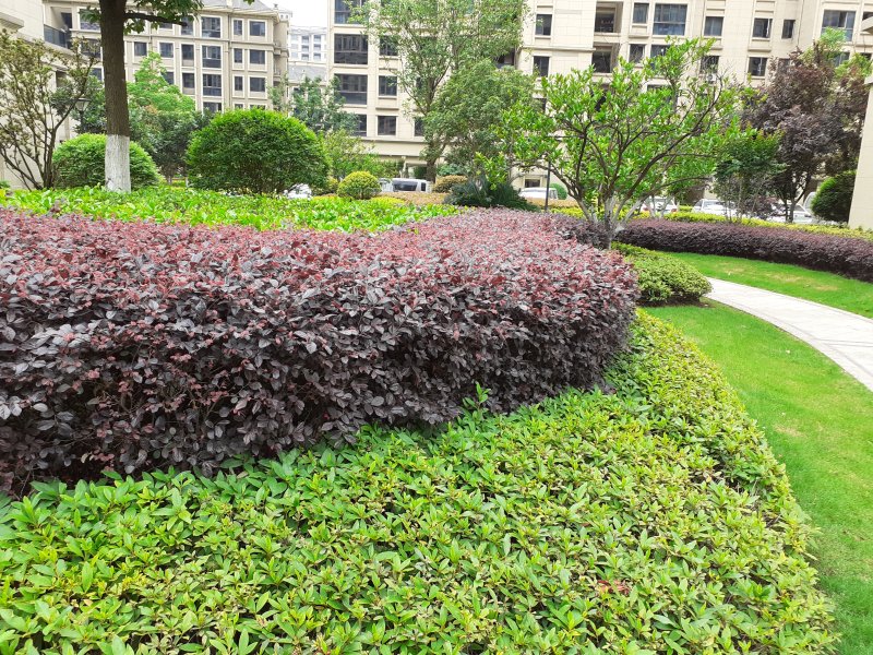 滨江稽山翡翠园