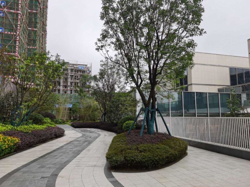 保利堂悦(a区一期),天文大道,近茶园路-重庆保利堂悦(a区一期)二手房