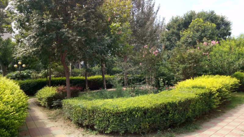 红松园北里2号院