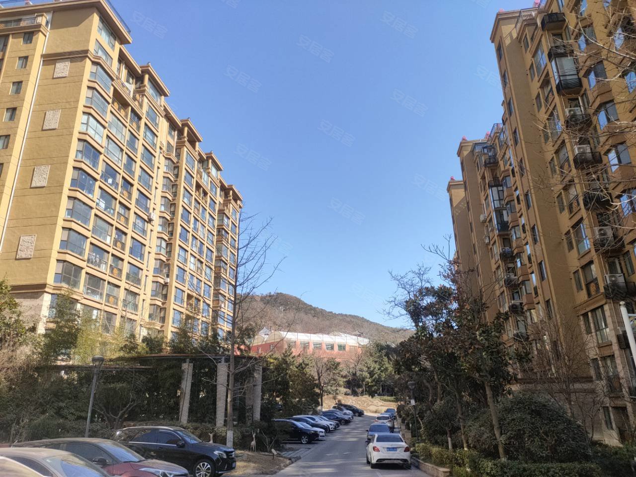 市政府祥云花园北区二期电梯小高层三室两厅两卫133平205