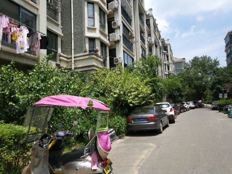 金都华庭(四期),砀山路3088号-合肥金都华庭(四期)二手房,租房,房价