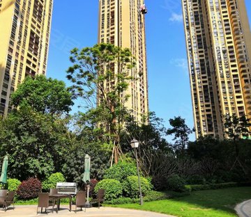 深城投中城花园(商住楼)