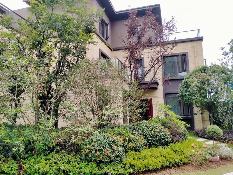 远洋万和上宁府(别墅)