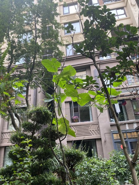 约克郡上林洋房