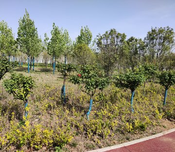 建发和著