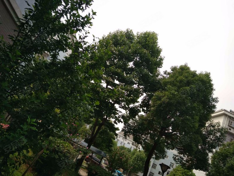 蜀南庭苑(桃园社区),望江西路4289号-合肥蜀南庭苑(桃园社区)二手房