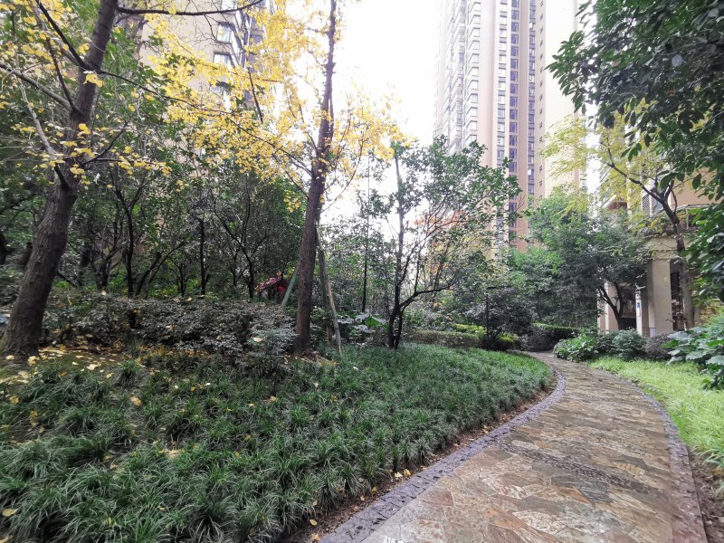 檀木林国宾府,体育场路236号-自贡檀木林国宾府二手房,租房,房价-自贡