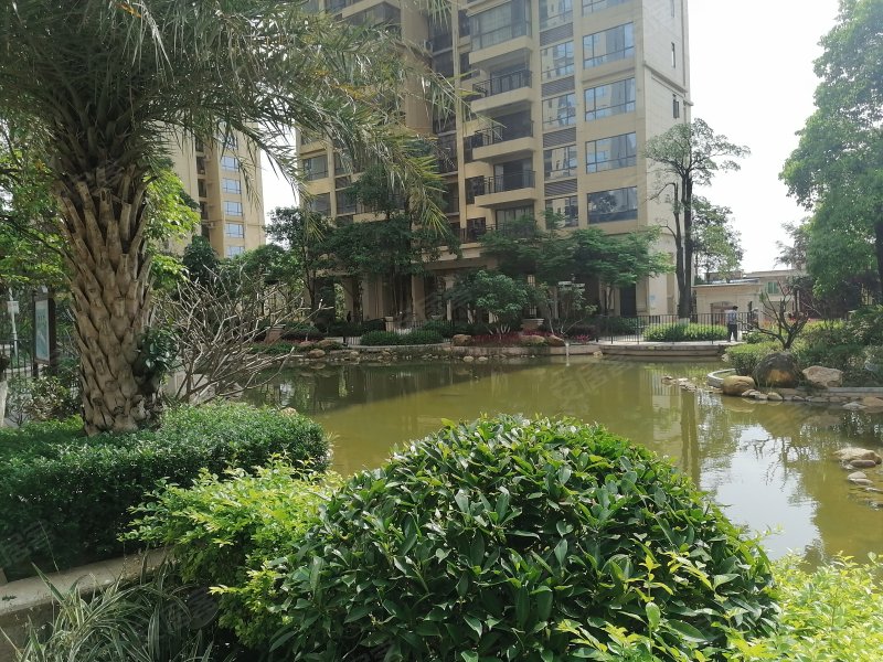 中伦东海岸,北江东路-清远中伦东海岸二手房,租房,房价-清远安居客