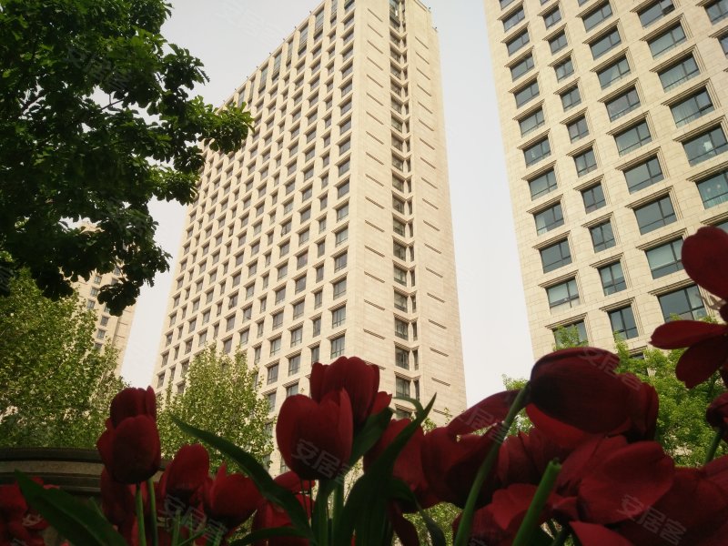广渠金茂府(东区)