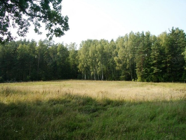 拉脱维亚约¥13万LatviaRiga4 Jēkabpils ielaLand出售二手房土地图片