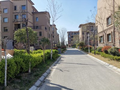 龙玺香醍溪谷(别墅),崇文大道,近景云路 - 济宁龙玺香醍溪谷(别墅)