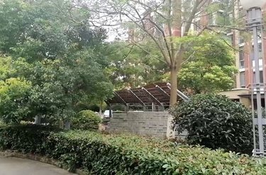 临港海滨国际花园