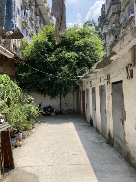 五里亭供销农机宿舍,跃进路5号-福州五里亭供销农机宿舍二手房,租房