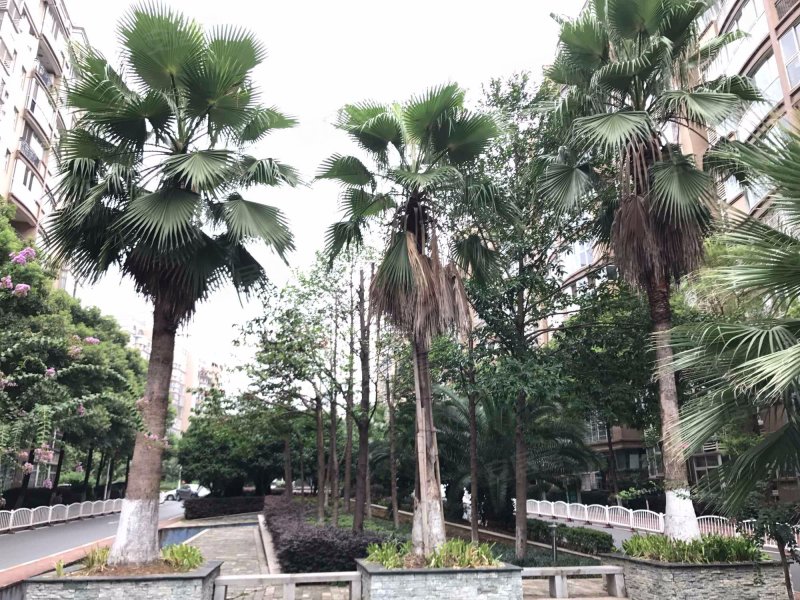 玉龙国际花园,宁乡大道-长沙玉龙国际花园二手房,租房,房价-长沙安居