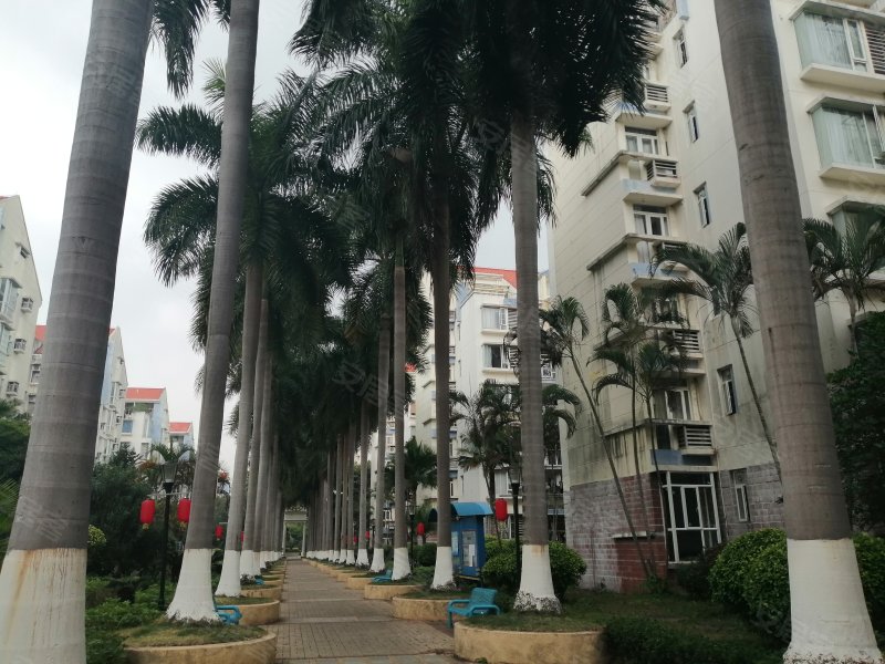 阳光假日,长泰路-东莞阳光假日二手房,租房,房价-东莞安居客