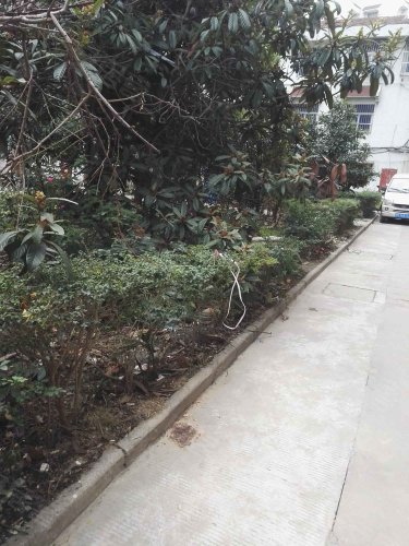 广福园,北大街 - 姜堰广福园二手房,租房,房价-姜堰安居客