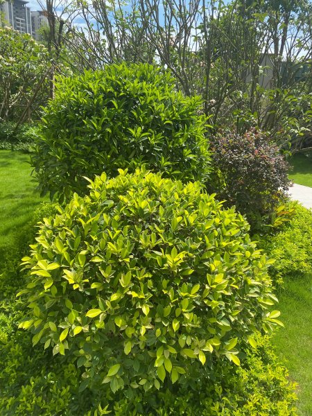 恒福美地,新园中路-肇庆恒福美地二手房,租房,房价-肇庆安居客