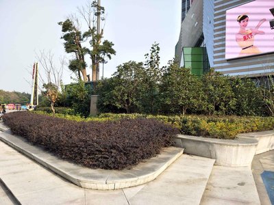 万达广场小区图片相册,南通万达广场实景图,室外图,小区配套图-南通