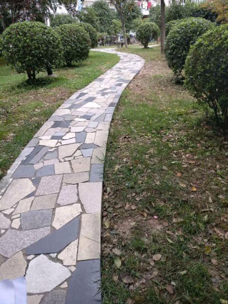 兴东佳苑(一期) 