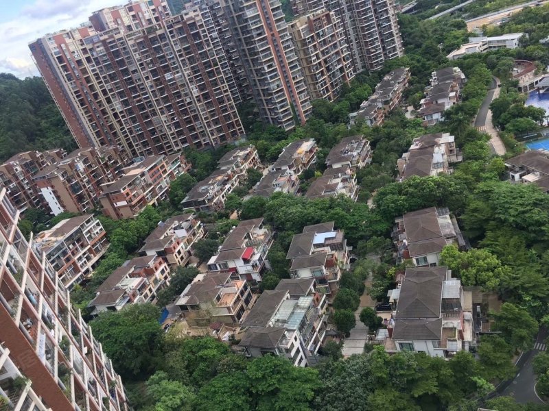 星河丹堤(别墅),南坪快速路-深圳星河丹堤(别墅)二手房,租房,房价