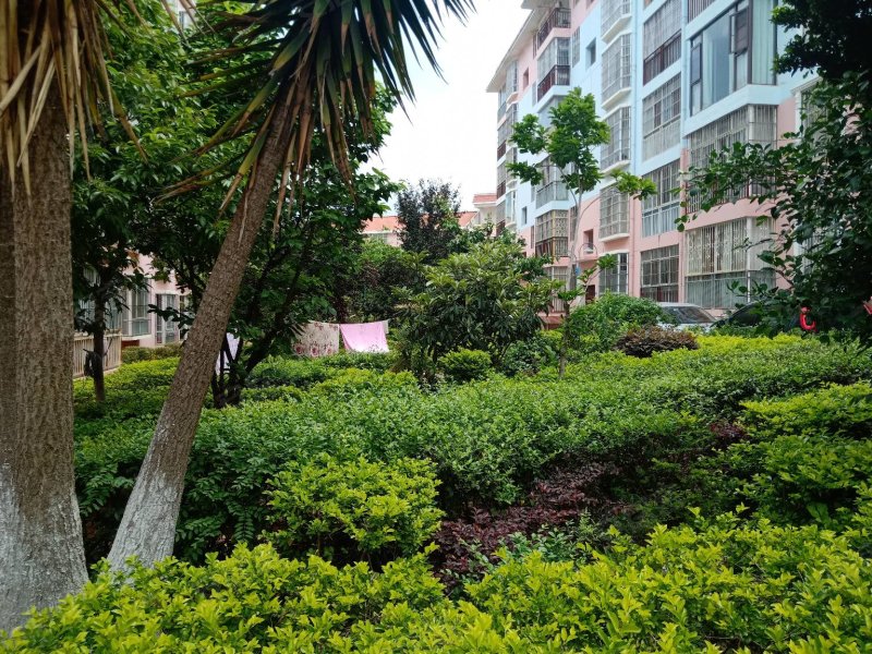 秀苑花园,秀苑巷2号-楚雄秀苑花园二手房,租房,房价-楚雄安居客