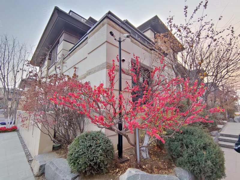 华润置地净月台(别墅)