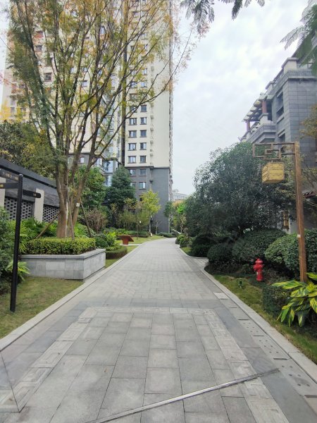 阳光1519浣溪台,湖滨路南四段,近清影路-眉山阳光1519浣溪台二手房