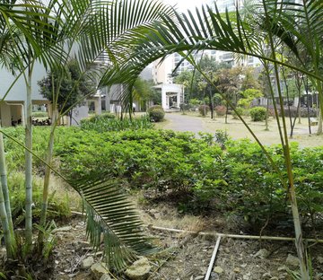 崇左市直小区B区