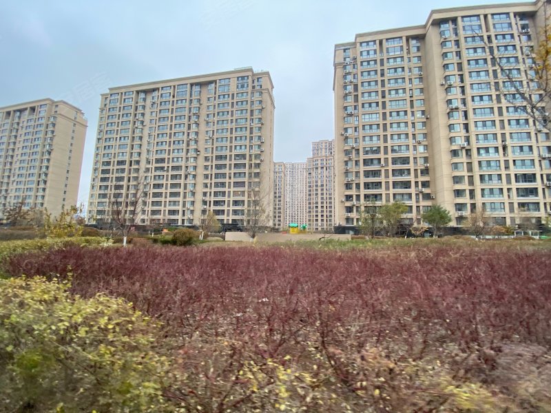 望京花园,民主路158号-辽阳望京花园二手房,租房,房价-辽阳安居客