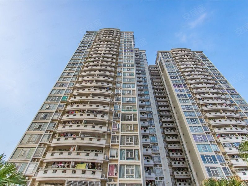 教师新村(河南岸)