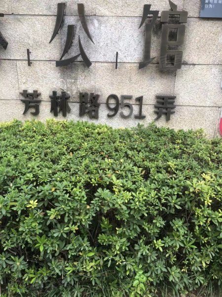 金地格林世界元墅 