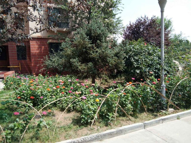 金河苑,河湾堡11号-连云港金河苑二手房,租房,房价-连云港安居客