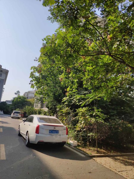 鑫惠花园(南区),南京路-邳州鑫惠花园(南区)二手房,租房,房价-邳州