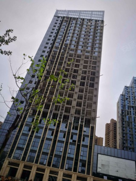 复地宴南都,苏家桥路6号-南京复地宴南都二手房,租房,房价-南京安居客