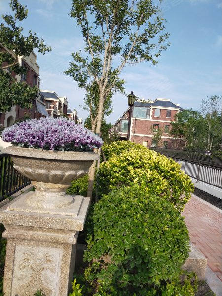 任城龙城公馆(别墅),蓼河路,近群英路-济宁任城龙城公馆(别墅)二手房