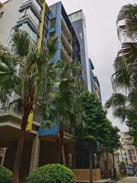 金色华庭,龙珠路18号-广州金色华庭二手房,租房,房价-广州安居客