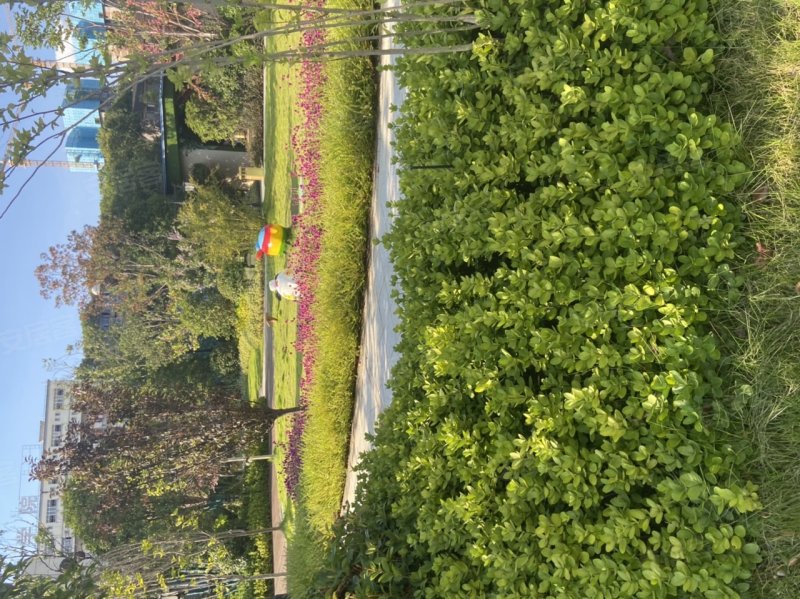 华晨翡翠湾,建设北路-株洲华晨翡翠湾二手房,租房,房价-株洲安居客