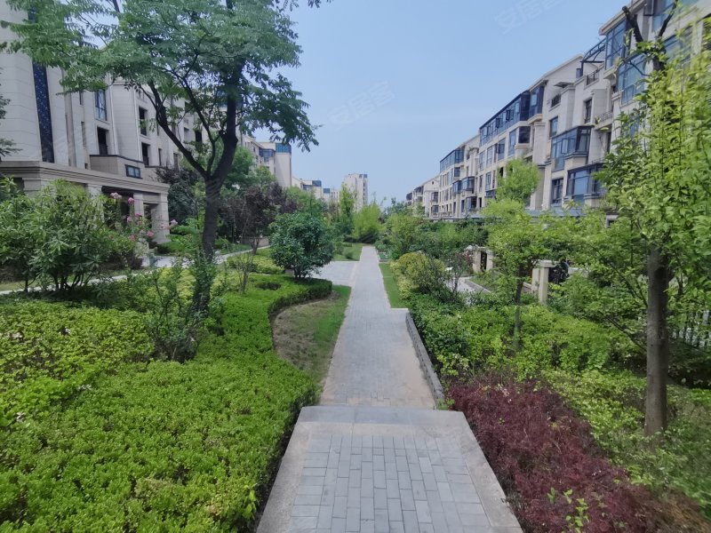 西安绿地城(别墅)